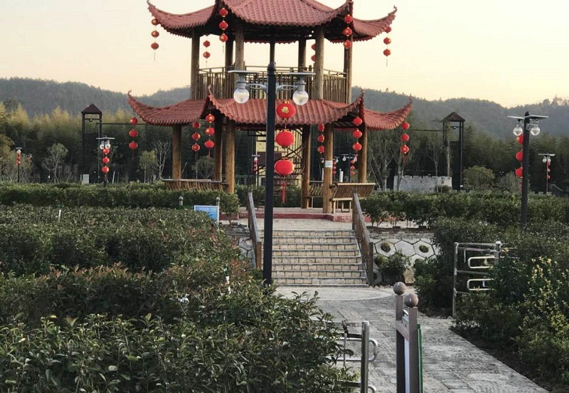 福建太陽能路燈-月光燈工程